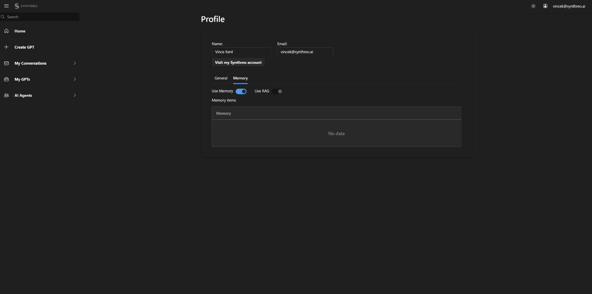 RAG-Based Memory Interface